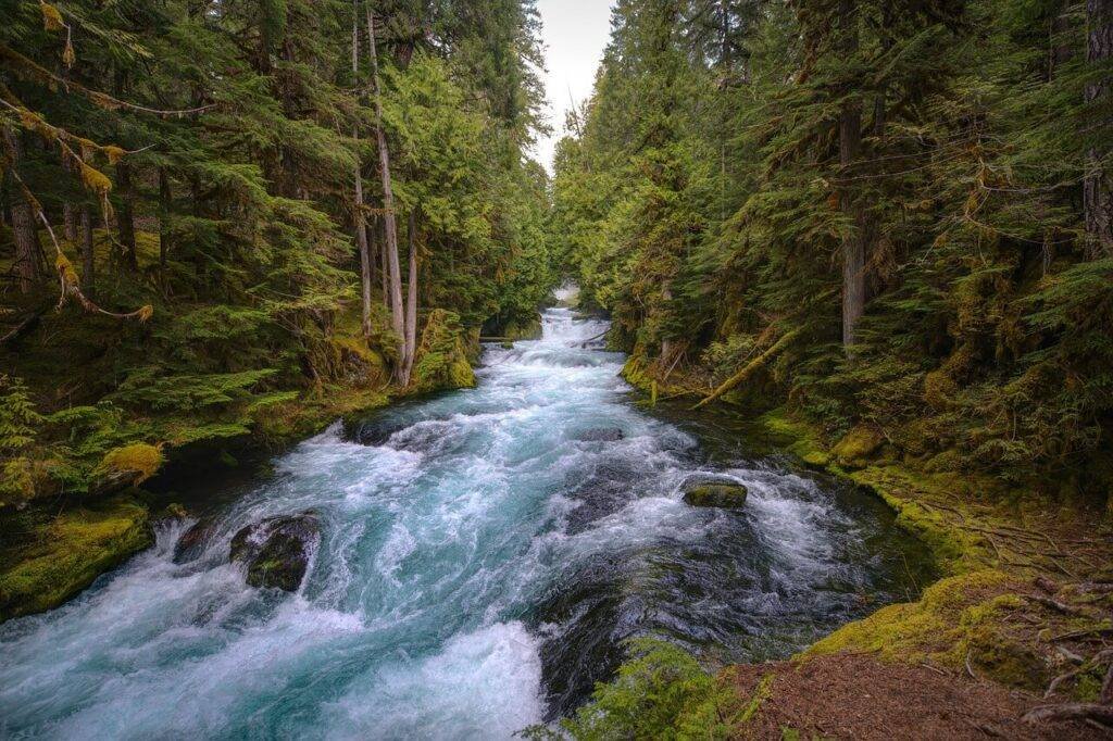 Curated Travel Delights: Your Passport to Simplicity and Fun! 10 mckenzie-river
