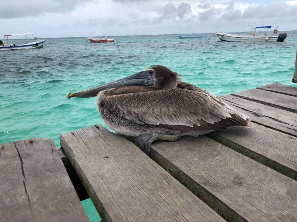 Maro Beach Moments: Crafting Timeless Memories by the Shore 2 Maro-beach