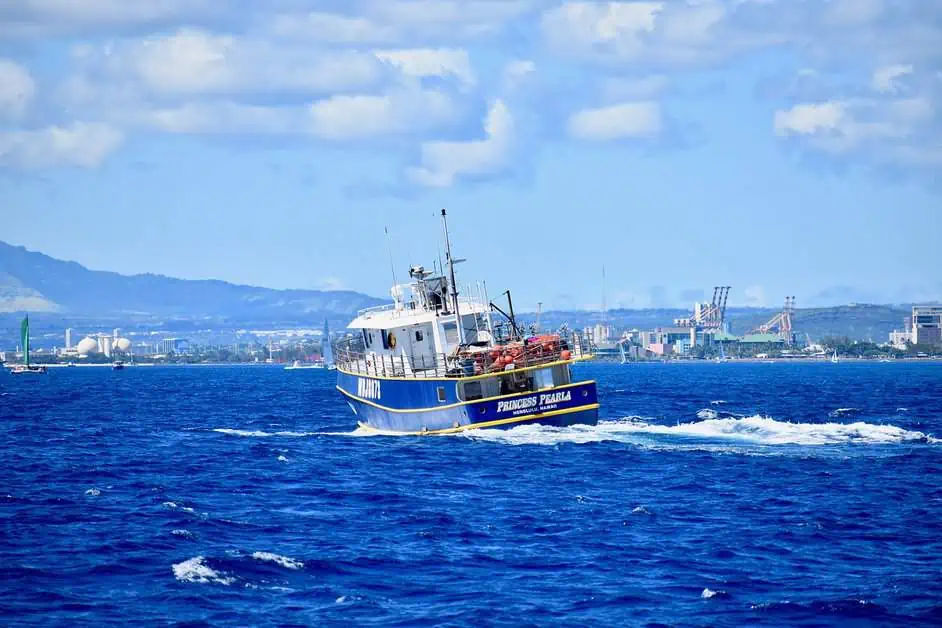Beyond the Waves: Explore Waikiki Beach, Oahu's Coastal Gem 18 hawaii
