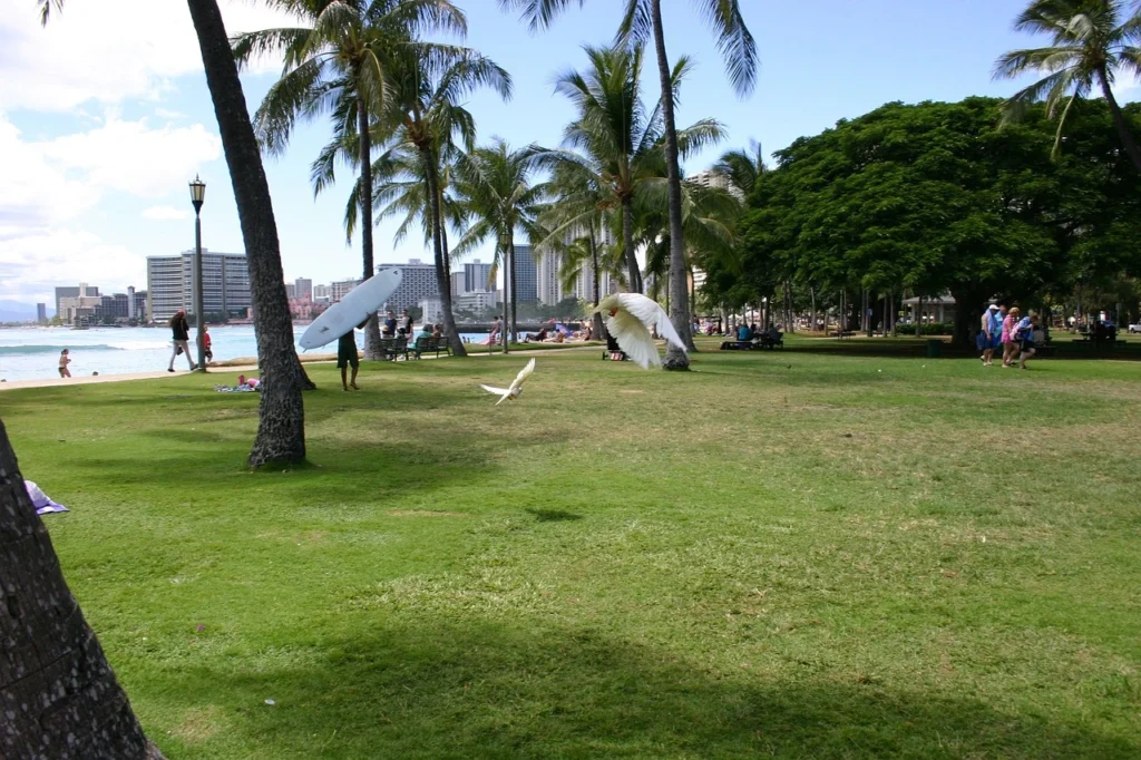 Moonlit Escapes: The Best Things to Do in Waikiki at Night! 9 honolulu