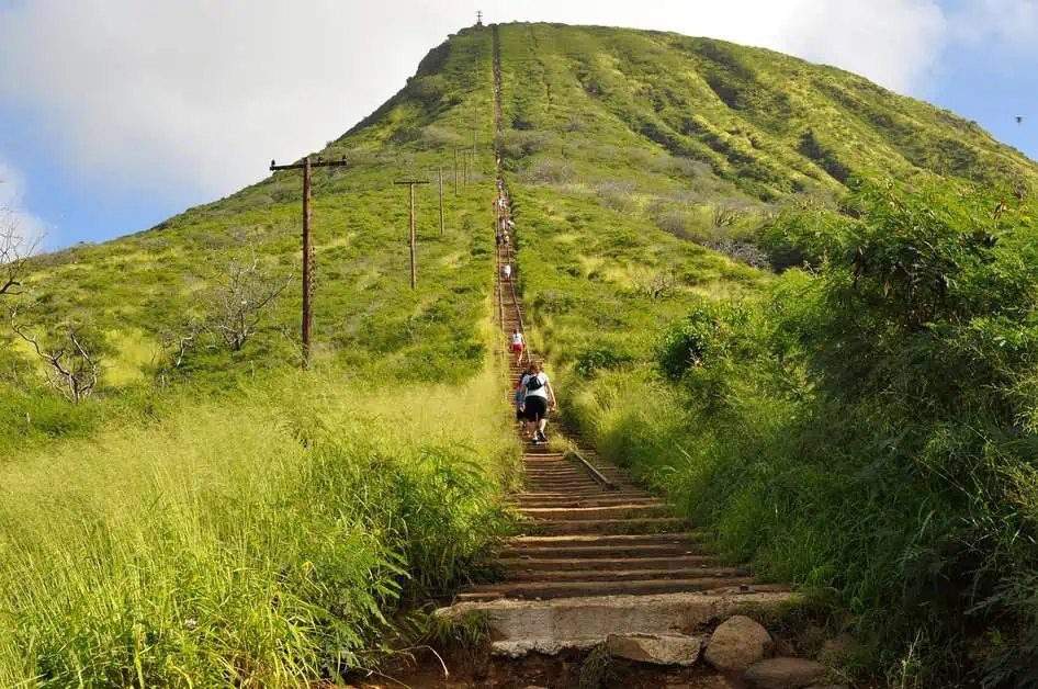 Beyond the Waves: Explore Waikiki Beach, Oahu's Coastal Gem 15 Shangri-La