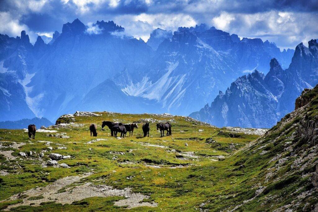 Monte Seceda Peaks: A Trailblazer's Guide to Alpine Dreams 5 hiking