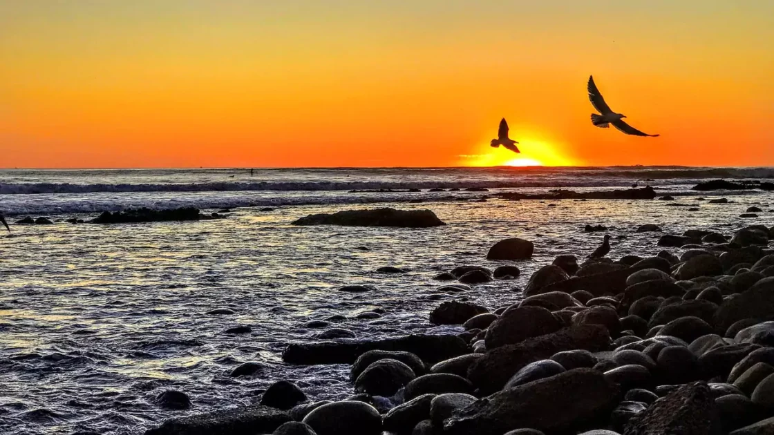 Top 10 Things to Do in La Jolla Cove for All Ages- Own Guide 3 california-sunset