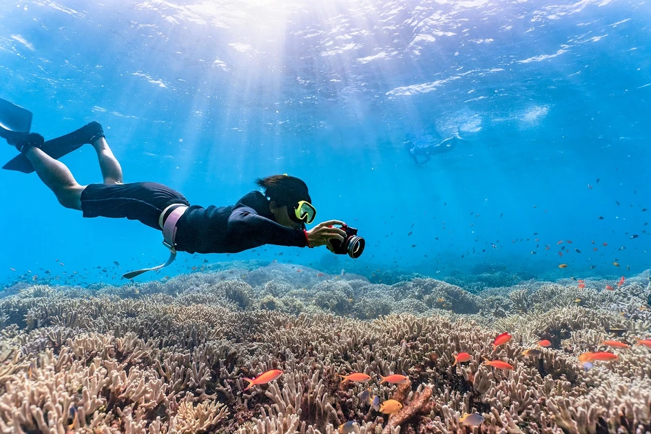 Beyond the Sand: The Best Things to Do in Waikiki Honolulu! 6 diving