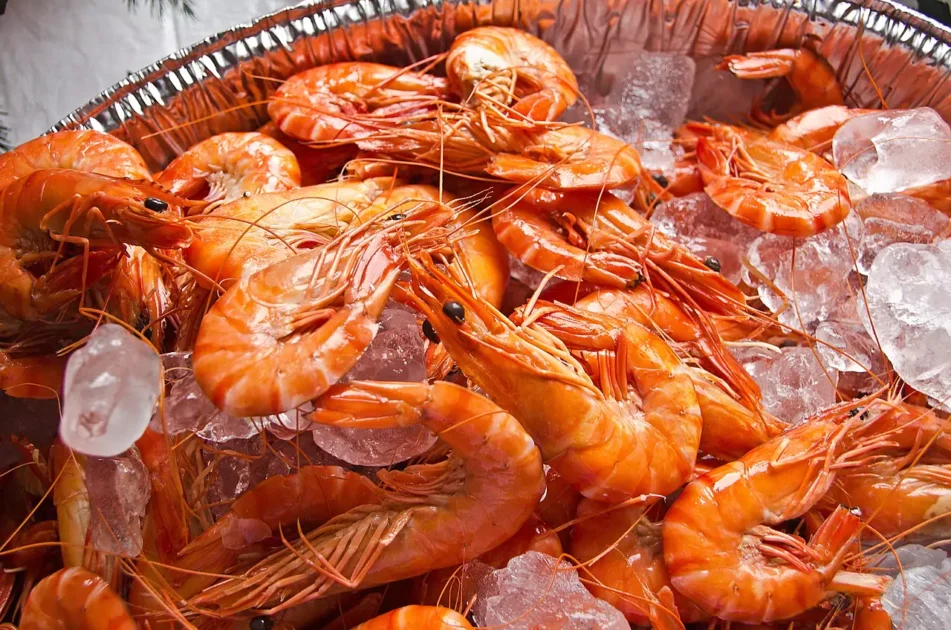 Top 10 Things to Do on Anna Maria Island - Ultimate Guide! 6 prawns-anna-maria-island