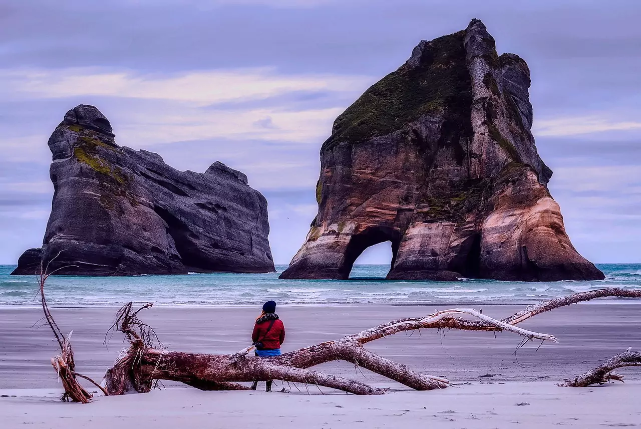 things-to-do-la-jolla-cove